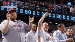 Lfgm New York Fans GIF