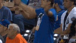 Lfgm New York Mets Fan GIF