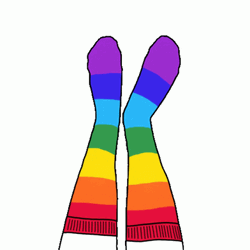 Lgbt Colorful Socks GIF