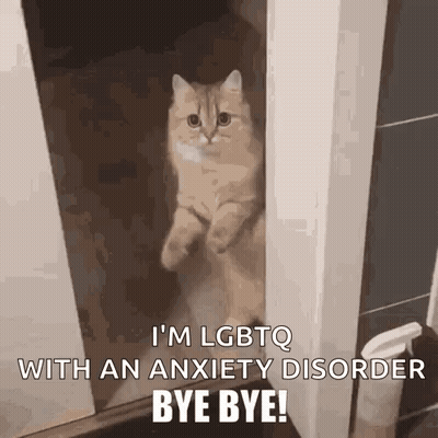 Lgbtq Pet Lgbtq Artists GIF