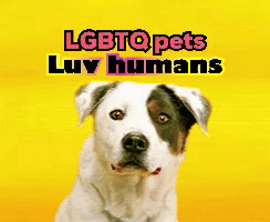 LGBTQ Pets And Humans GIF
