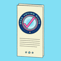 Liberal Voting Guide GIF