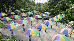 Liberia Spinning Umbrellas