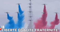 Liberte Egalite Fraternite Bastille Day Planes GIF