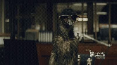 Liberty Mutual Llama On Desk GIF