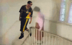 Life Alert Lola Fell Down The Stairs GIF