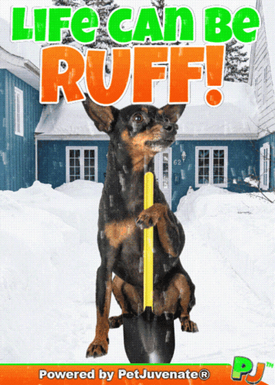 Life Can Be Ruff Poster GIF