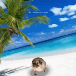 Life Could Be A Dream Dancing Pug  GIF