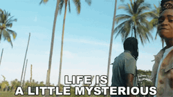 Life Is A Little Mysterious GIF