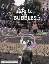 Life Is Bubbles GIF
