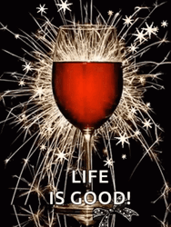 Life Is Good Wine Toast GIF