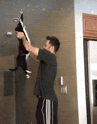 Lift Off Cat Flying To Space GIF