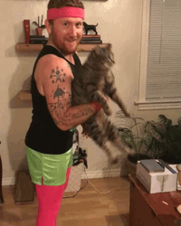 Lifting Kitty Hammer Curls GIF
