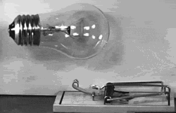 Light Bulb In A Mouse Trap GIF