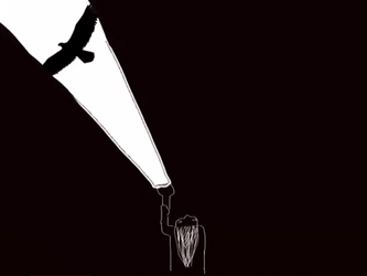 Light Hunting Bald Eagle GIF