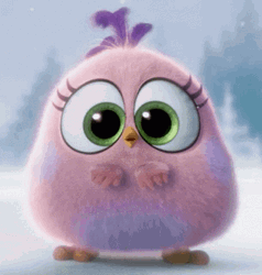 Light Pink Shocked Bird GIF