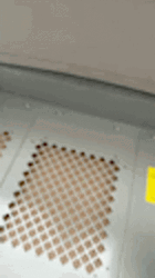 Light Skin Face Man  GIF