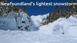 Lightest Snow Storm In New Foundland GIF
