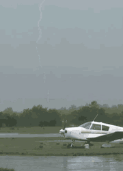 Lighting Behind A Tree GIF