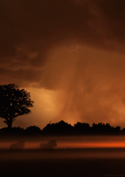 Lightning Bolt Against Dark Orange Sky GIF