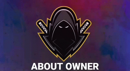 Lightning Bolt Logo Saying About Owner GIF