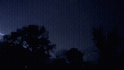 Lightning Strikes Behind Trees At Night GIF