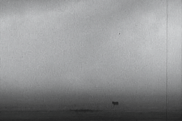 Lightning Strikes Inside Dust Storm GIF