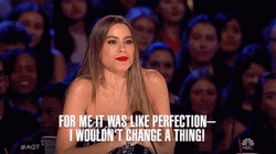 Like A Perfection Sofia Vergara GIF