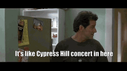 Like Cypress Hill Concert In Here Grandmas Boy GIF