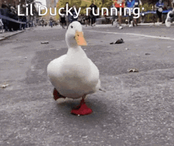 Lil Ducky Running Race GIF
