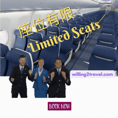 Limited Seats Airplane Ad With Book Now Button GIF