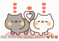 Line Stickers Cute Cat Funny Happy Anniversary GIF
