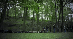 Lining People Like Dominos Falling GIF