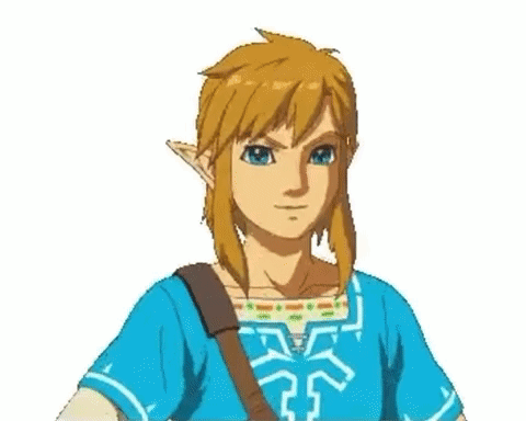 Link From The Video Game Breath Of The Wild Is Giving A High Five . GIF