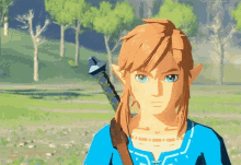 Link The Legend Of Zelda Serious Hyrule Warrior