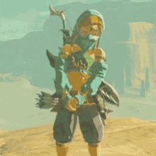Link The Legend Of Zelda Shy Desert Nintendo