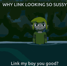 Link The Legend Of Zelda Walking Water Funny