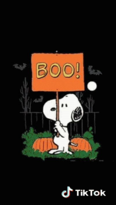 Linus And Snoopy Talking About Halloween GIF