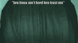 Linux Ain't Hard Bro