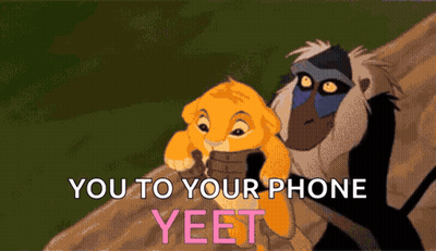 Lion And Baboon From Lion King Yeet GIF
