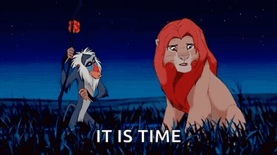 Lion And Baboon It Is Time GIF