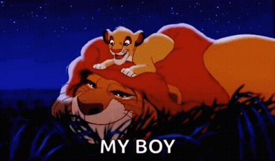Lion And Cub From Lion King Laying In Grass Saying My Boy GIF