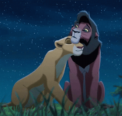 Lion And Lioness Kissing In Grass GIF