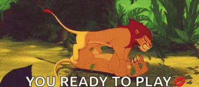 Lion And Lioness Laying Together Ready To Play GIF