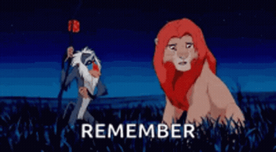 Lion And Monkey From The Lion King Saying Remember GIF