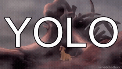 Lion And Skull Saying YOLO GIF
