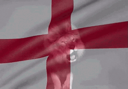 Lion Behind England Flag GIF