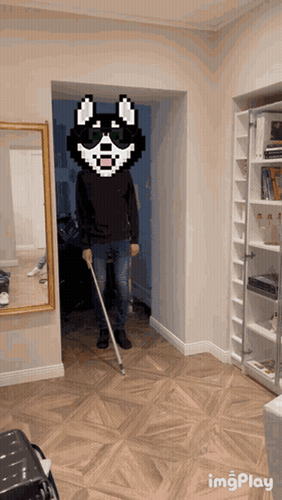 Lion Born To Be Wild GIF