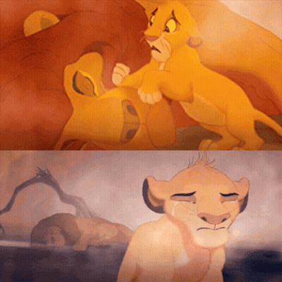 Lion Cub Crying In Front Of Dead Lion GIF