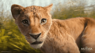 Lion Cub From Mufasa Looking At Camera GIF